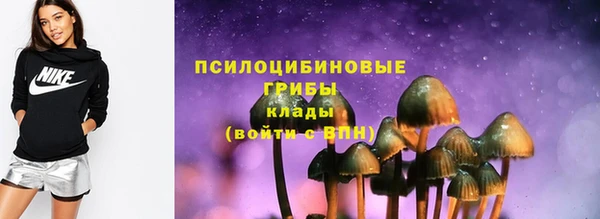 ECSTASY Вяземский