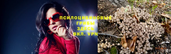 прущие крисы Волоколамск